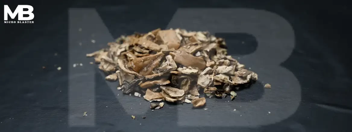 Walnut Shell 1