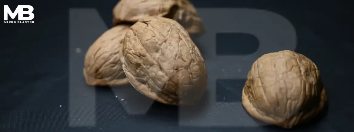 Walnut Shell 3
