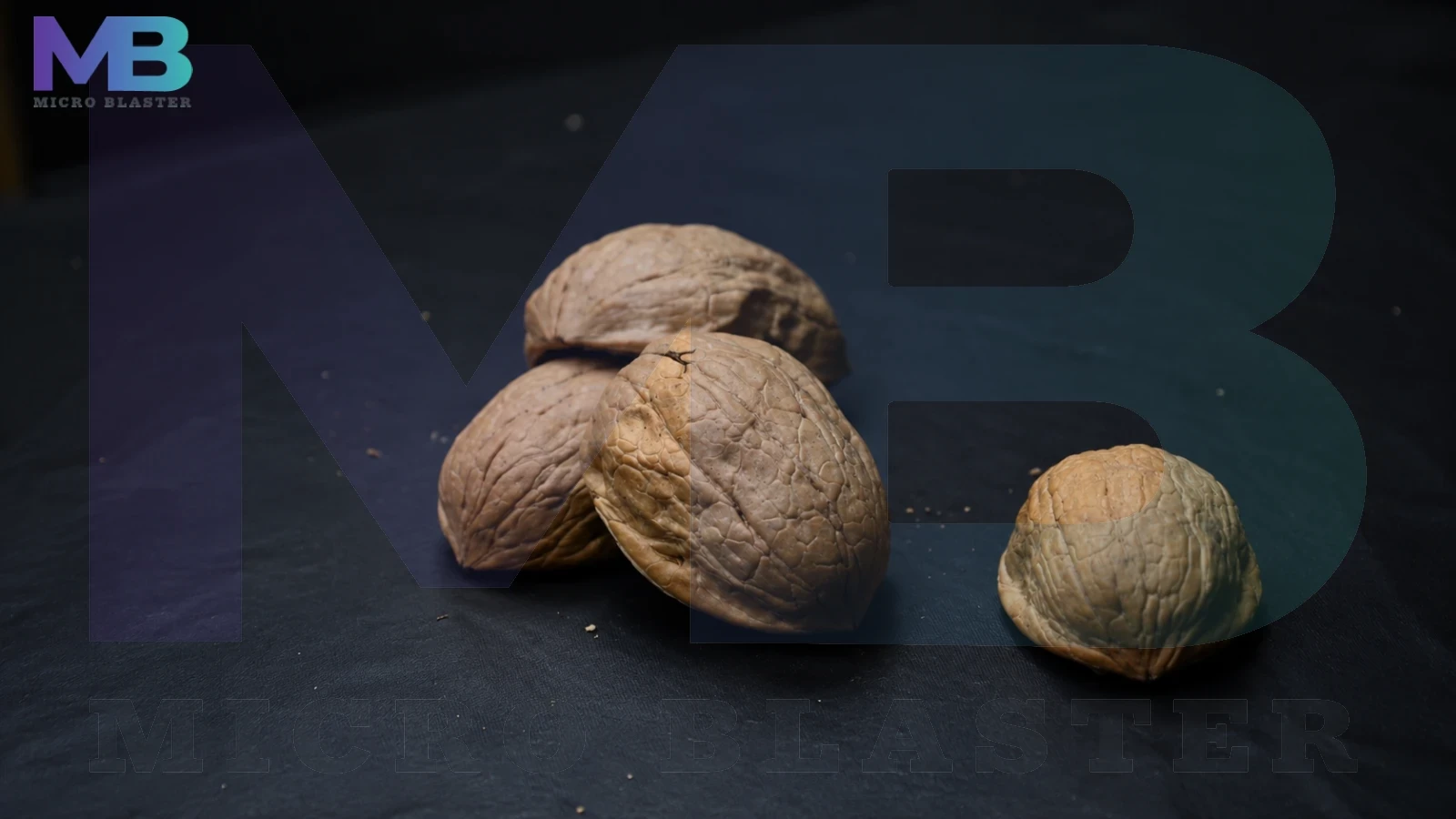 Walnut Shell 3